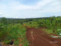 muyumbu-small-1