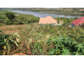 kigali-land-for-sale-in-kanombe-small-2