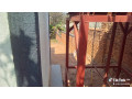 plot-for-sale-small-9