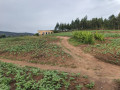 land-for-sale-at-kinyinya-gasabo-small-0