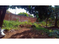 kigali-house-for-sale-in-remera-small-4
