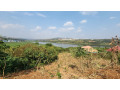 kigali-land-for-sale-in-kanombe-small-3