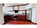 kicukiro-center-very-nice-fully-apartments-for-rent-with-gym-nice-restaurant-in-kigali-rwanda-small-6