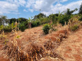 ndagurisha-ikibanza-imasaka-iyabaraya-small-3