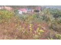 kigali-land-for-sale-in-rebero-facing-nyamirambo-side-small-4