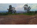 land-for-sale-small-8