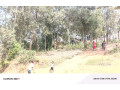 kicukiro-nyanza-near-mount-kenya-university-big-land-for-sale-in-good-neighborhood-small-5