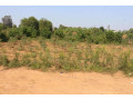 residential-land-for-sale-juru-near-airport-of-rwanda-small-0