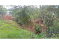 plot-for-sale-in-nyamirambo-mumena-small-7