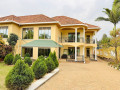 gacuriro-very-nice-house-for-rent-in-kigali-rwanda-small-4