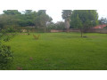 kigali-land-for-sale-in-kinyinyi-small-3