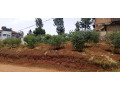 kinyaga-bumbogo-plot-for-sale-small-4