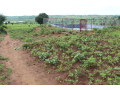agriculture-land-for-sale-in-bugesera-gashora-rwanda-access-on-water-small-3