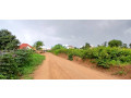 plot-for-sale-in-rusoro-at-agoo-place-small-0