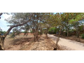 plot-for-sale-in-rusororo-small-4