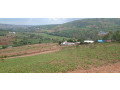 plot-for-sale-in-rwamagana-at-a-good-price-small-2
