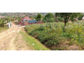 ikibanza-kigurisgwa-mubirembo-bya-kinyinya-murisite-ya-gisasa-small-4