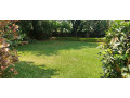 furnished-house-available-for-rent-at-kiyovu-small-3