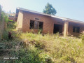 remera-plot-with-old-house-for-sale-300m-small-4