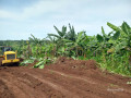 muyumbu-small-2
