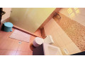kimihurura-fully-furnished-apartments-for-rent-on-paved-road-in-very-calm-location-in-rwanda-kigali-small-6