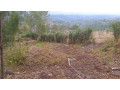 kigali-land-for-sale-in-rebero-rujugiro-small-2