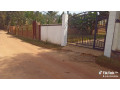 plot-for-sale-small-1
