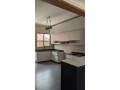 tb-033-kibagabaga-kibagabaga-biggest-house-for-sale-small-9