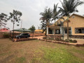 kibagabaga-apartment-for-rent-in-kigali-small-6