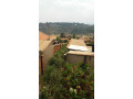 largest-land-for-sale-with-a-house-small-5