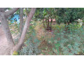 kigali-land-for-sale-in-nyamirambo-small-3