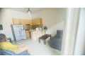 kimironko-furnished-apartment-for-rent-in-kigali-small-5