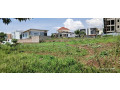 kinyinya-small-2