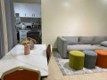 remera-fully-furnished-apartment-for-rent-in-kigali-small-1