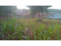 kigali-land-for-sale-in-nyamirambo-small-6