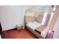 kicukiro-center-very-nice-fully-apartments-for-rent-with-gym-nice-restaurant-in-kigali-rwanda-small-12
