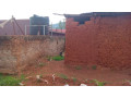 kigali-plot-for-sale-in-rebero-small-6