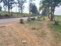 bugesera-residential-plot-for-sale-in-kanzenze-small-0