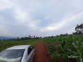 plot-for-sale-in-rugende-at-agood-place-small-6