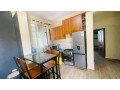 kibagabaga-furnished-apartment-for-rent-in-kigali-small-1