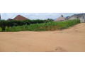 busanza-plot-for-sale-small-2