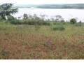 land-for-sale-in-bugesera-gashora-near-airport-of-rwanda-small-3