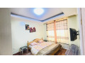 remera-fully-furnished-apartment-for-rent-in-kigali-small-5