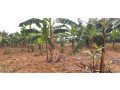 industrial-land-for-sale-in-bugesera-near-airport-of-rwanda-small-0