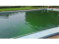 kigali-pool-house-available-for-rent-in-kiyovu-small-3