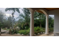 kigali-pool-house-available-for-rent-in-kacyiru-small-3