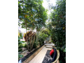 kigali-furnished-house-for-rent-in-kanombe-gasaraba-small-7