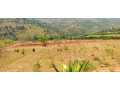 plot-for-sale-in-ndera-at-agood-place-small-2