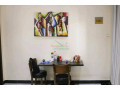 this-is-beautiful-fully-furnished-apartments-for-rent-in-remera-small-5