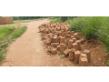land-for-sale-in-bugesera-near-airport-of-rwanda-small-0